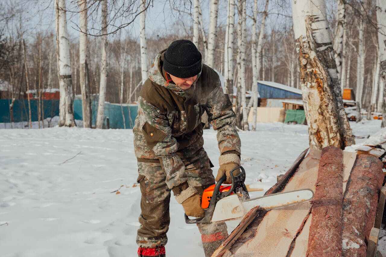 Best Palm Tree Trimming  in Boston, GA